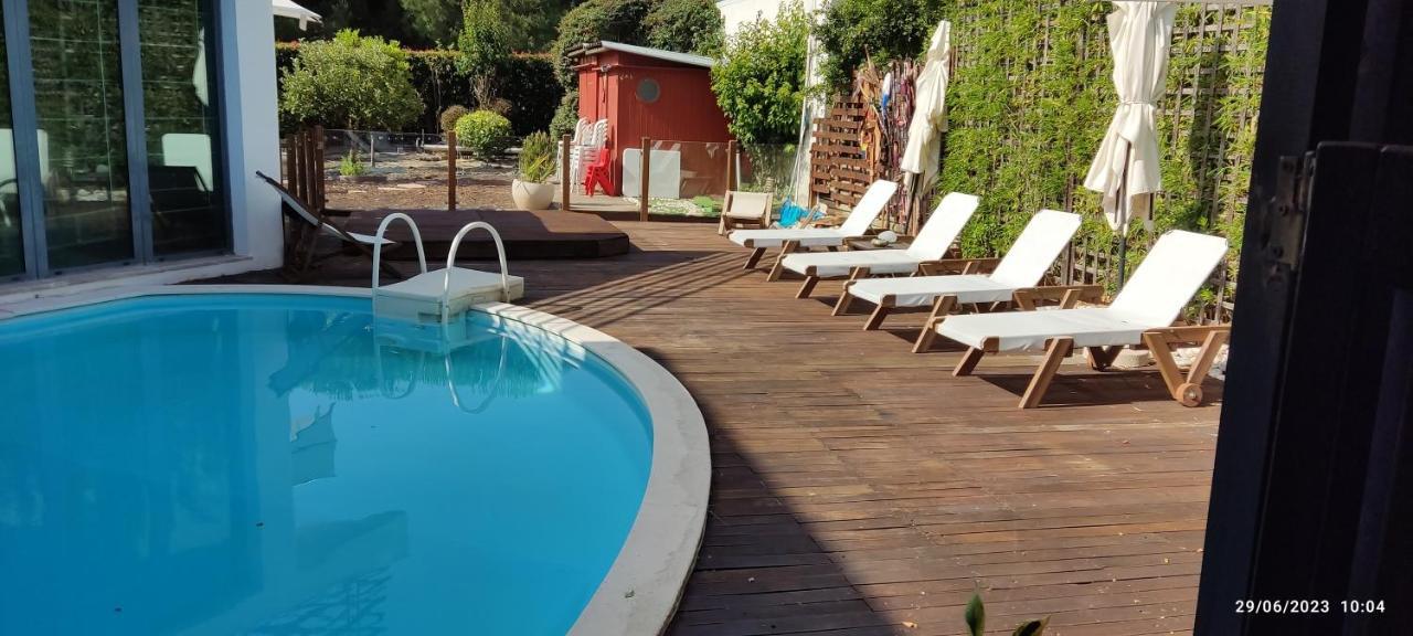 Villa De Lux With Pool Quinta do Anjo Exteriör bild