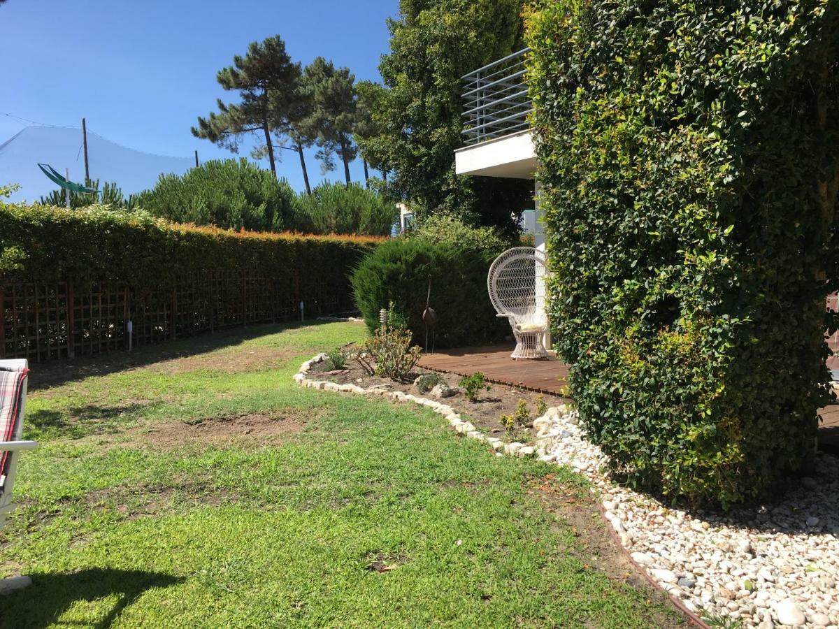 Villa De Lux With Pool Quinta do Anjo Exteriör bild